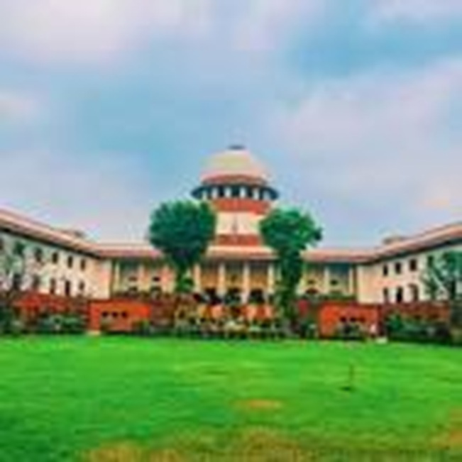 'Noticing presence of most of Chief Secretaries,  Apex Court lists case of Stray Dogs on 7th  Nov'